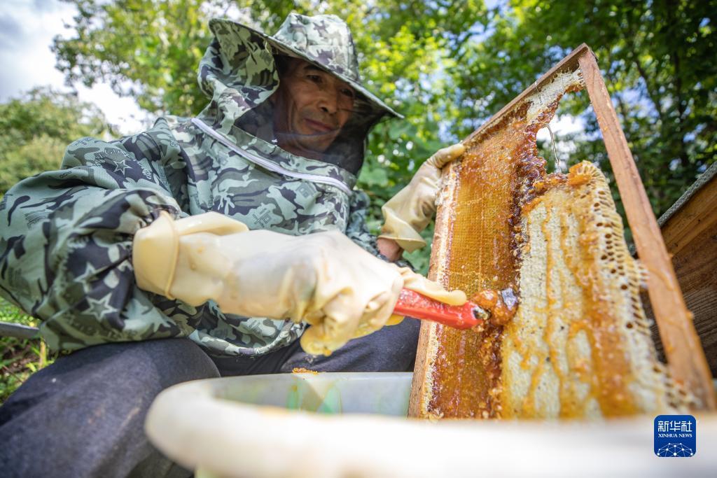 金顶是真金吗
